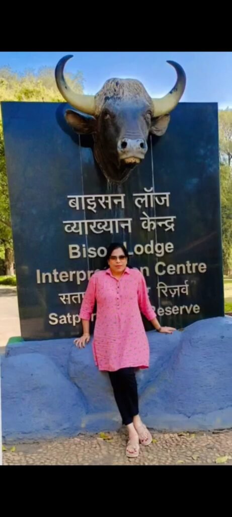 Bison Lodge, Satpura Tiger Reserve – Safarika Holidays
