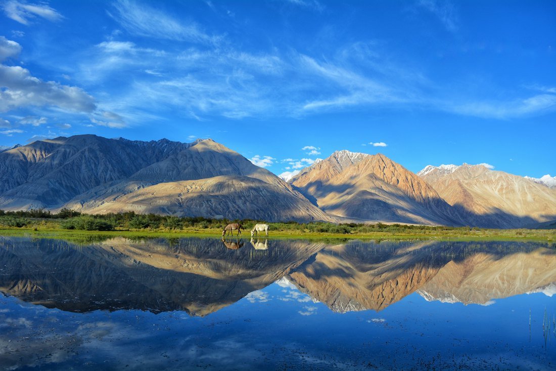 Leh Ladakh Adventure